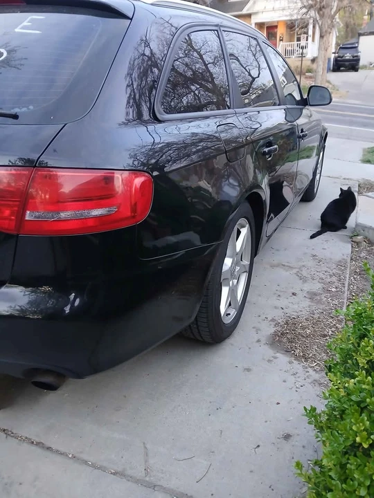 2009 Audi B8 A4 - Image 3 of 14