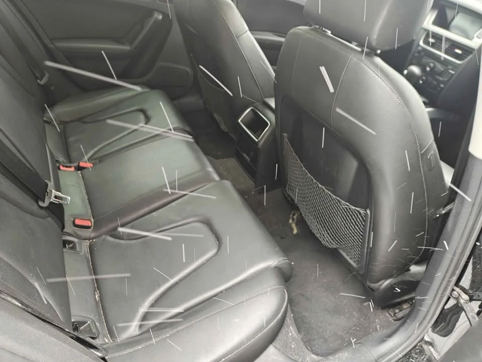 2009 Audi Allroad - Image 12 of 13