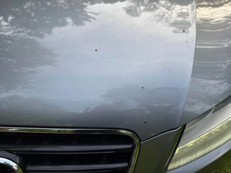 2009 Audi B8 A5 - Image 9 of 19
