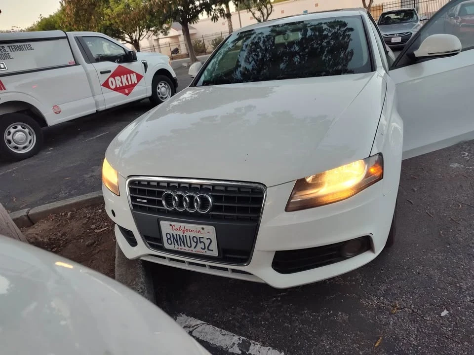 2009 Audi Allroad - Image 10 of 10