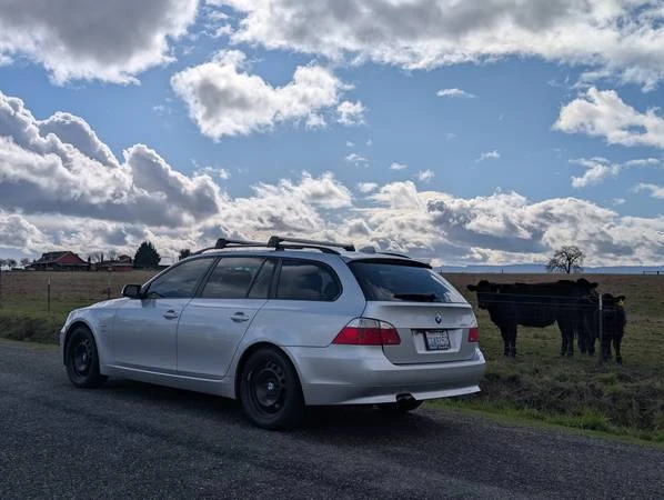 2009 BMW E61 5 Series Touring - Image 7 of 20