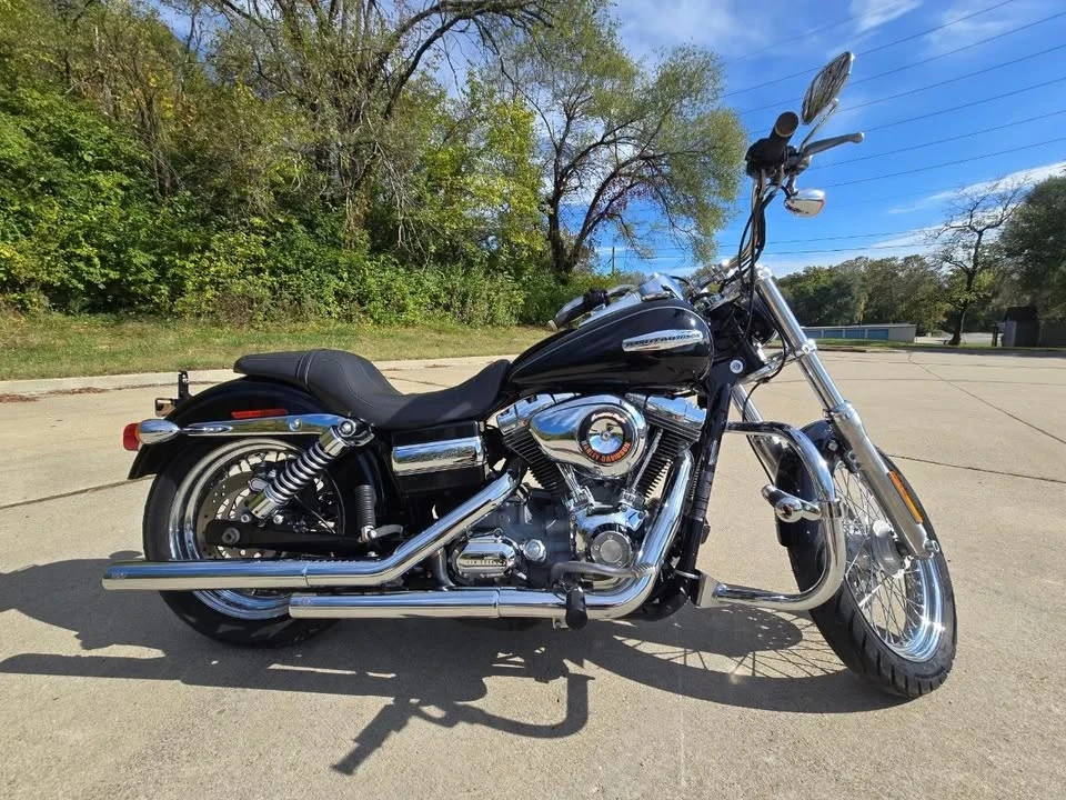 2009 Harley-Davidson Shovelhead - Image 9 of 19