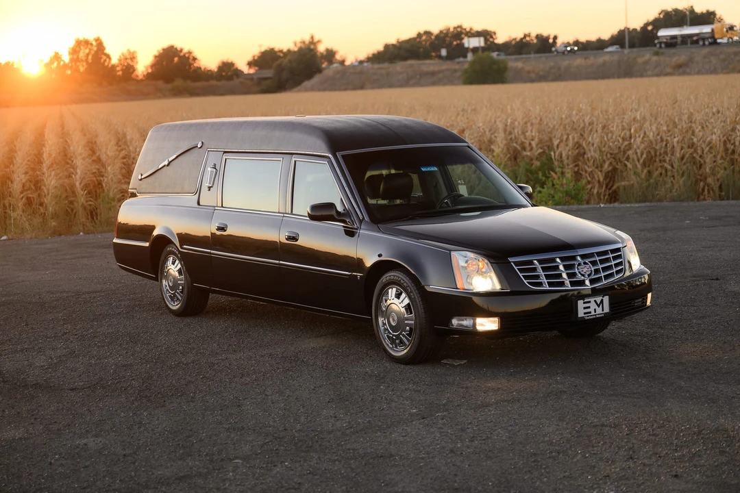 2009 Cadillac DTS - Image 15 of 31
