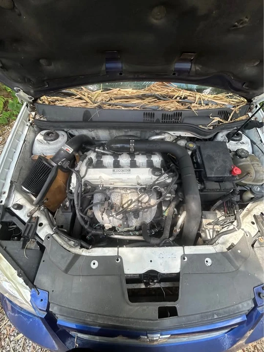 2009 Chevrolet Cobalt 1st Gen - Image 6 of 10