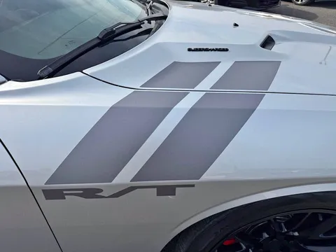 2009 Dodge Challenger R/T Coupe 2D