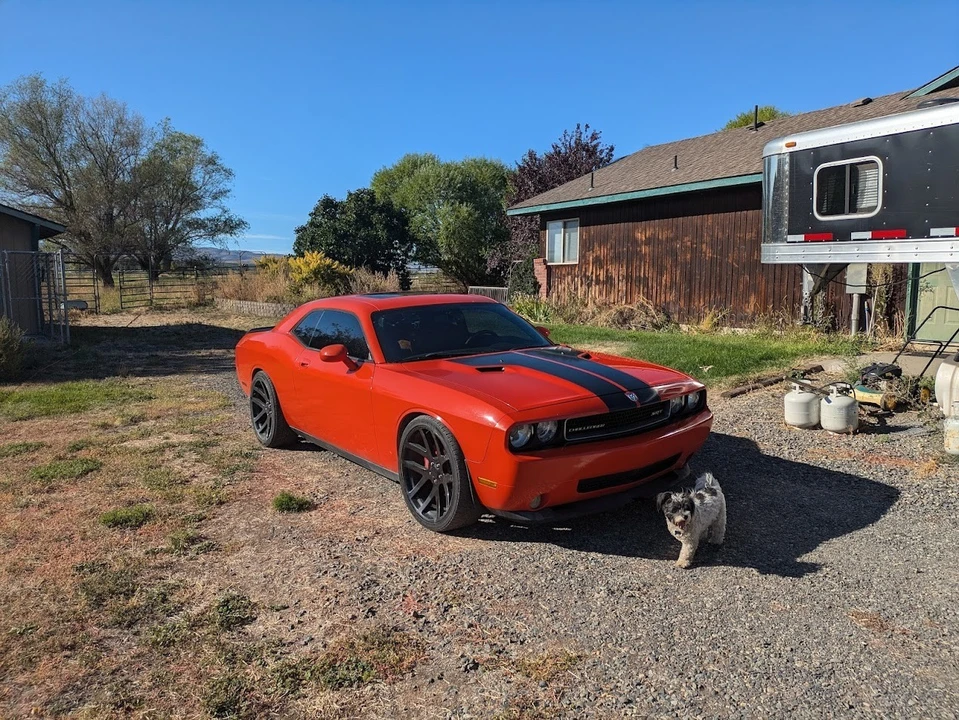 2009 Dodge Challenger SRT8 & 392 3rd Gen - Image 11 of 12