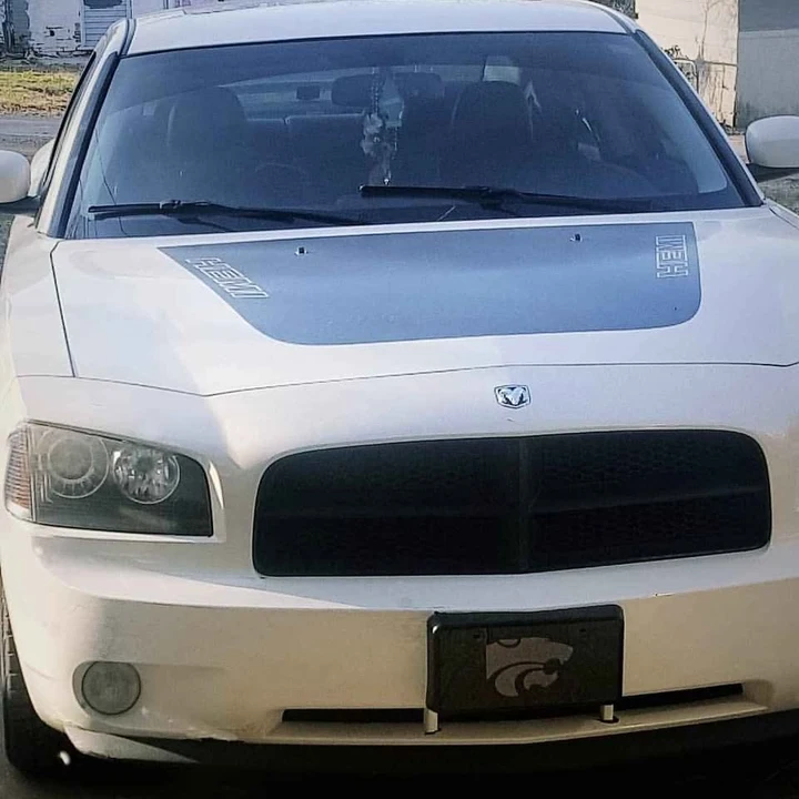 2009 Dodge Charger 6th Gen - Image 4 of 4