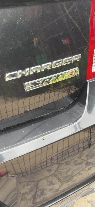 2009 Dodge Charger 6th Gen - Image 4 of 4