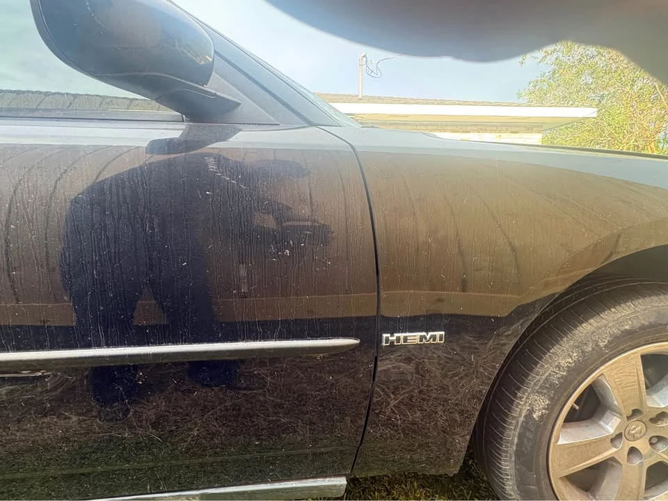 2009 Dodge Charger 6th Gen - Image 2 of 8