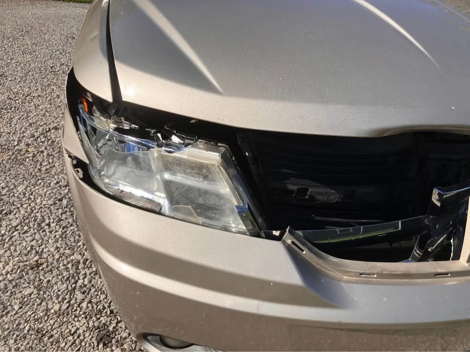 2009 Dodge Journey - Image 11 of 12
