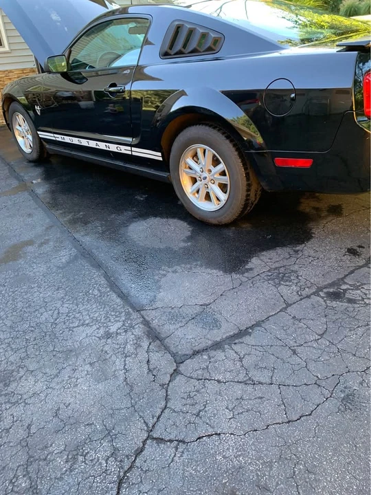2009 Ford S197 Mustang - Image 13 of 13