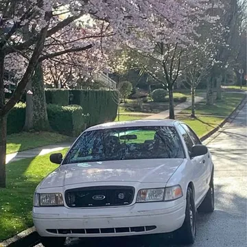 2009 Ford Crown Victoria