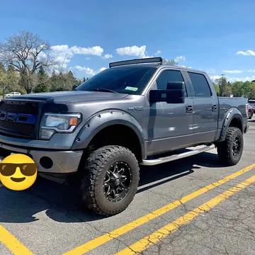 2009 Ford F-150