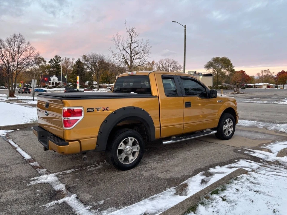 2009 Ford F-150 12th Gen - Image 20 of 21
