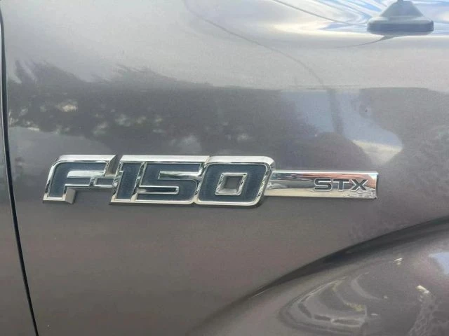 2009 Ford F-150 12th Gen - Image 14 of 16