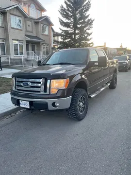2009 Ford F150
