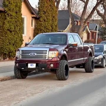 2009 Ford F150 SuperCrew Cab Platinum