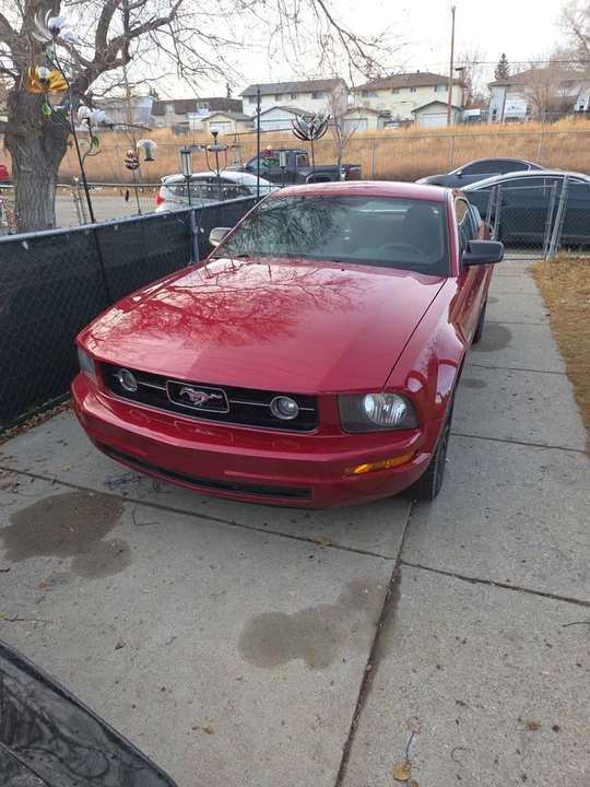 2009 Ford S197 Mustang - Image 3 of 5