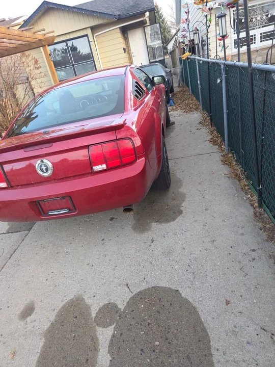 2009 Ford S197 Mustang - Image 2 of 5