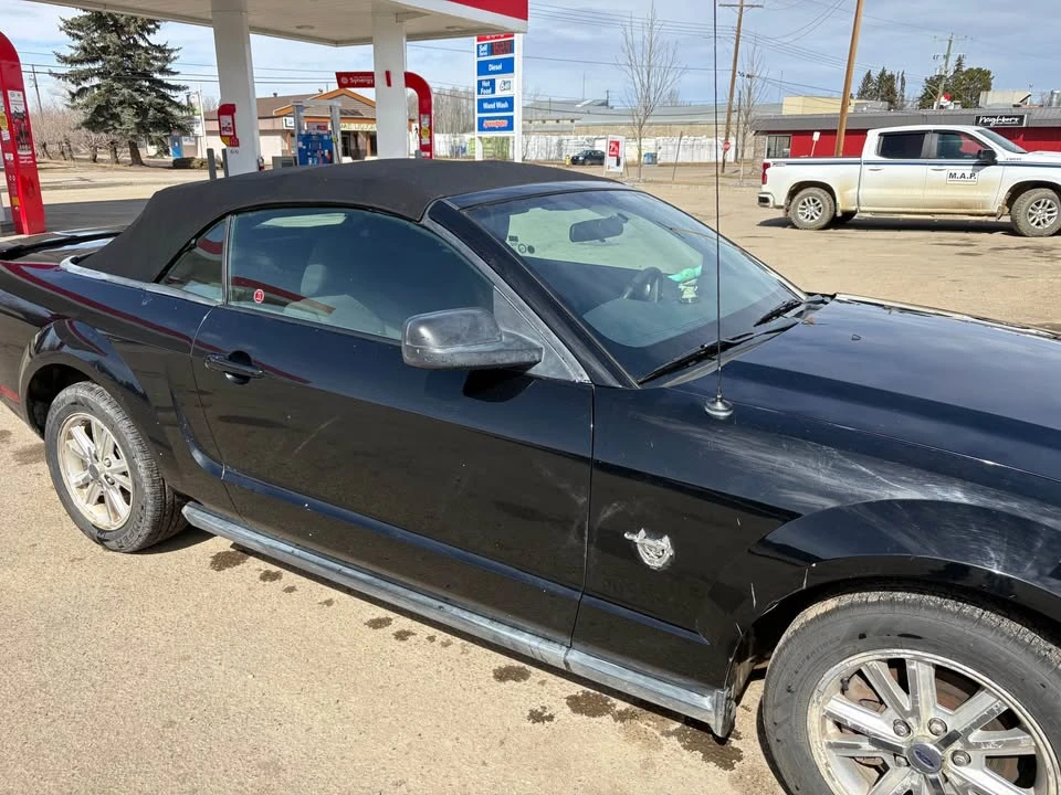 2009 Ford S197 Mustang - Image 4 of 10