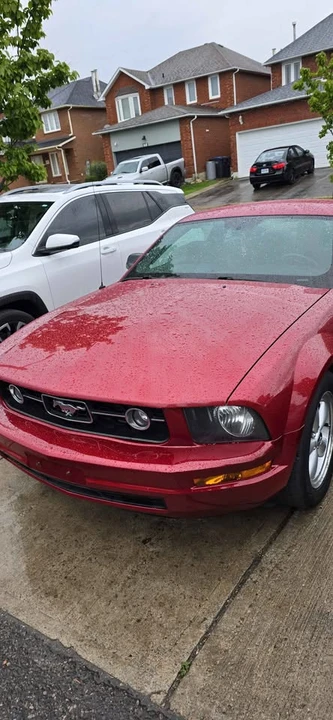 2009 Ford S197 Mustang - Image 8 of 13