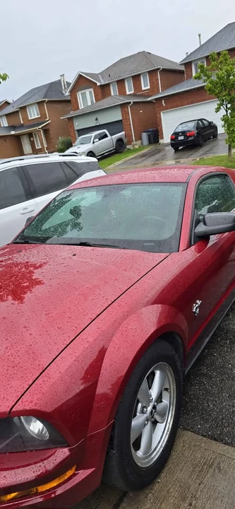 2009 Ford S197 Mustang - Image 10 of 13