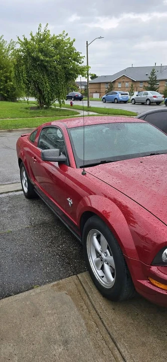 2009 Ford S197 Mustang - Image 12 of 13