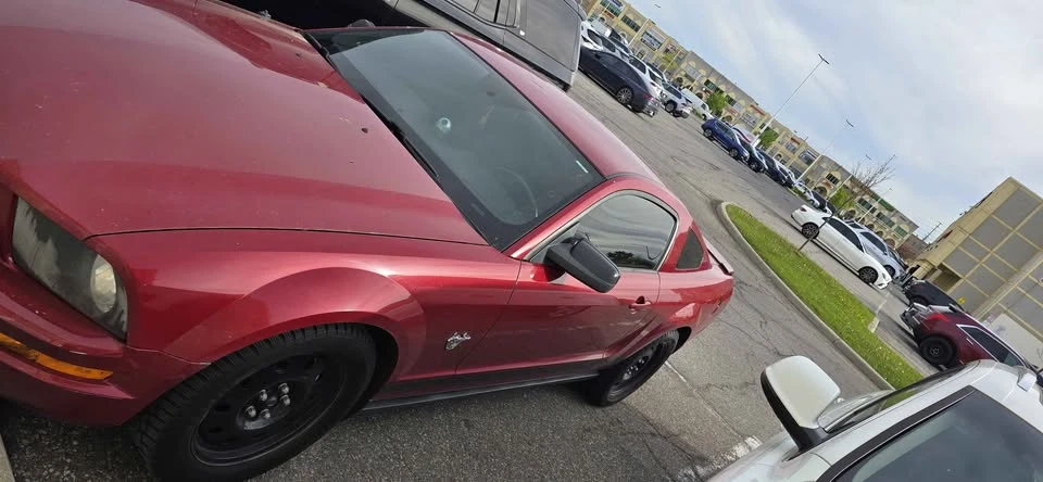 2009 Ford S197 Mustang - Image 4 of 13