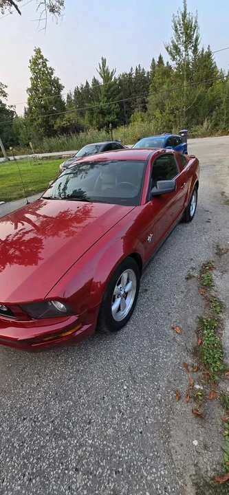 2009 Ford S197 Mustang - Image 6 of 13