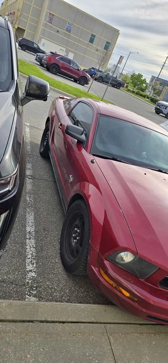 2009 Ford S197 Mustang - Image 5 of 13