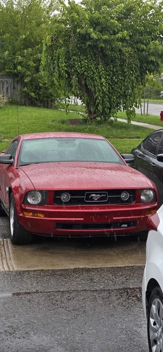 2009 Ford S197 Mustang - Image 11 of 13