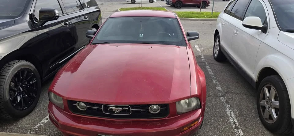 2009 Ford S197 Mustang - Image 13 of 13