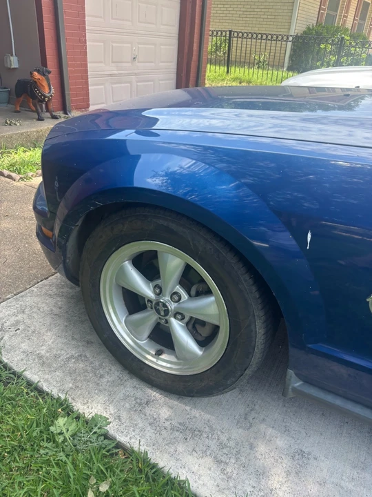 2009 Ford S197 Mustang - Image 24 of 28