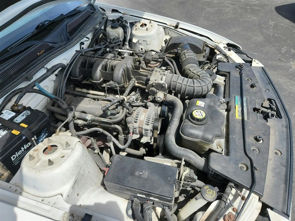2009 Ford S197 Mustang - Image 22 of 29