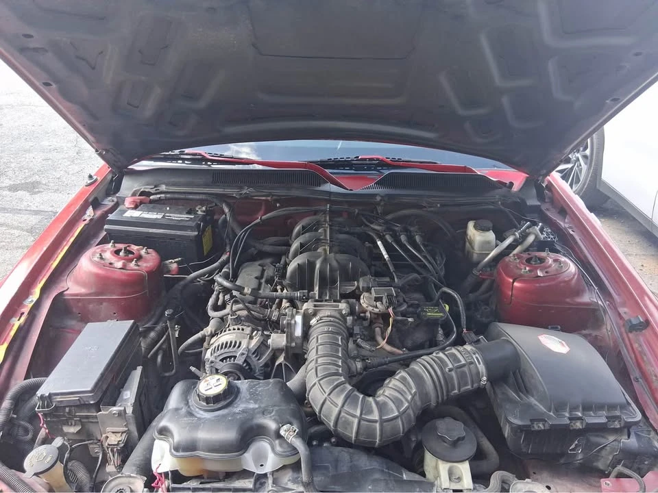 2009 Ford S197 Mustang - Image 3 of 5