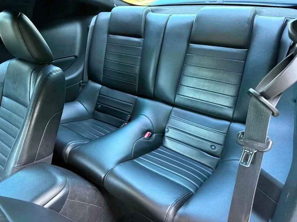 2009 Ford S197 Mustang - Image 11 of 19