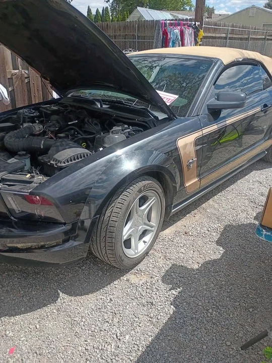 2009 Ford S197 Mustang - Image 2 of 11