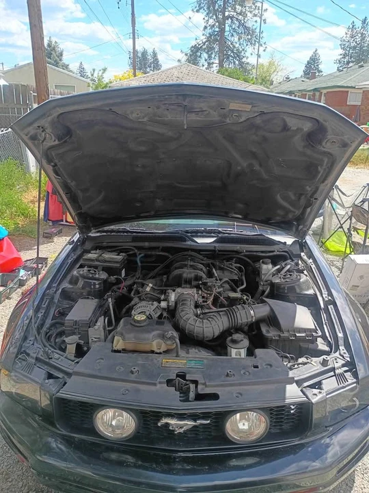 2009 Ford S197 Mustang - Image 4 of 11