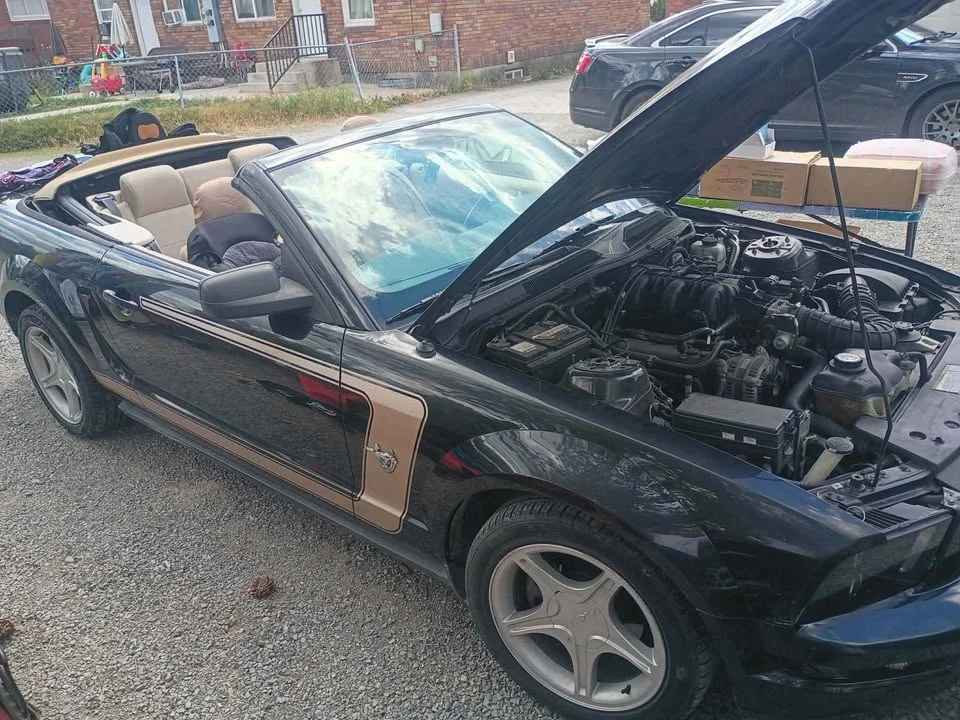 2009 Ford S197 Mustang - Image 5 of 11