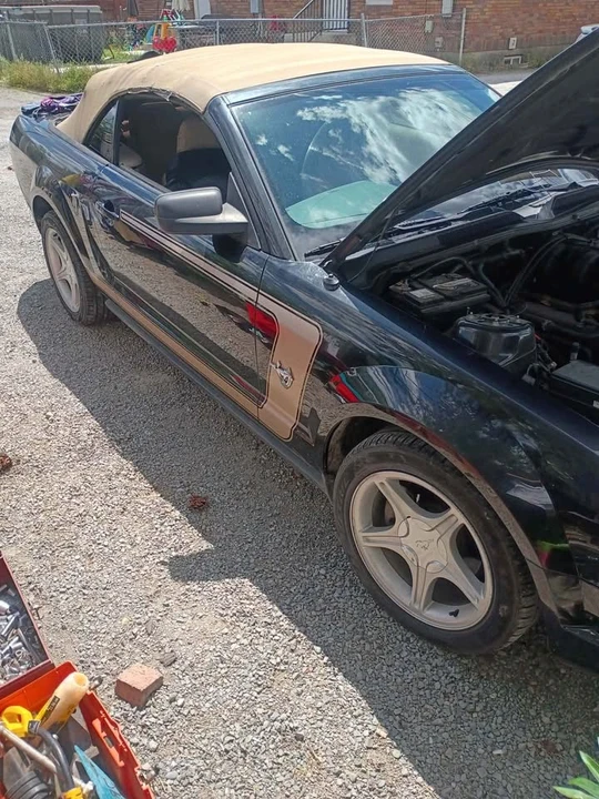 2009 Ford S197 Mustang - Image 3 of 11