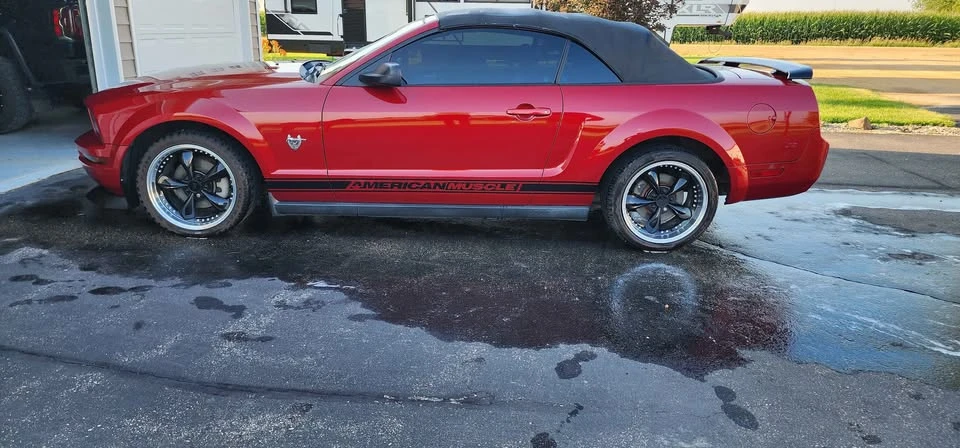 2009 Ford S197 Mustang - Image 2 of 13