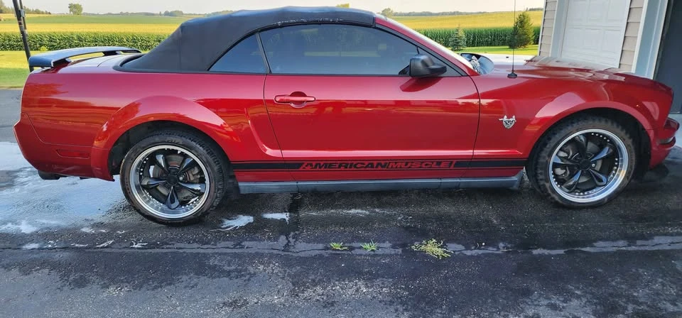 2009 Ford S197 Mustang - Image 5 of 13