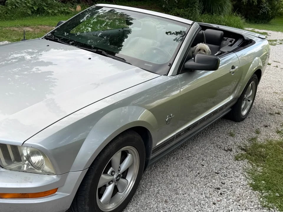 2009 Ford S197 Mustang - Image 3 of 12