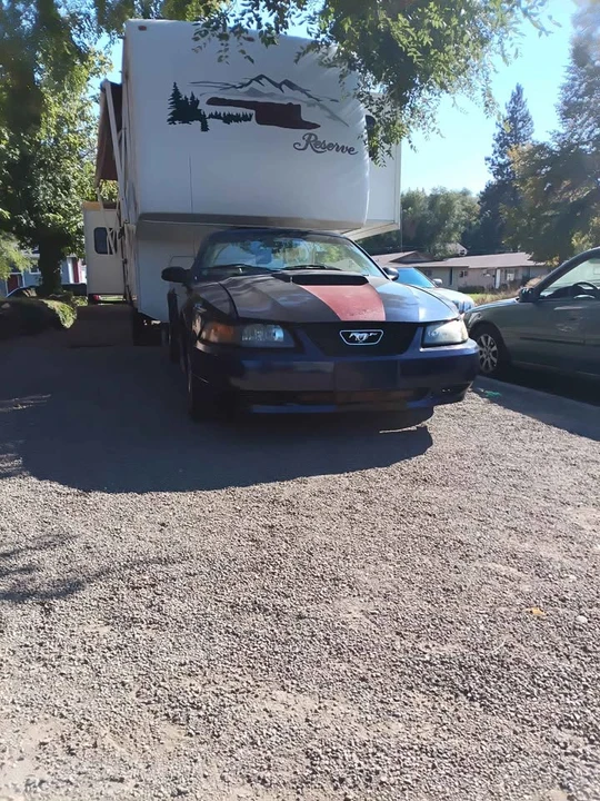 2009 Ford S197 Mustang - Image 2 of 3