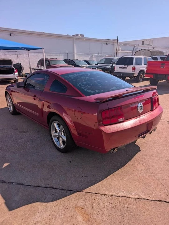 2009 Ford S197 Mustang - Image 12 of 14