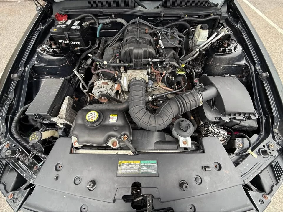 2009 Ford S197 Mustang - Image 13 of 13