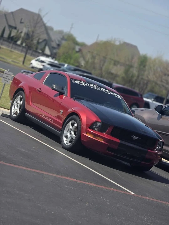 2009 Ford S197 Mustang - Image 7 of 8
