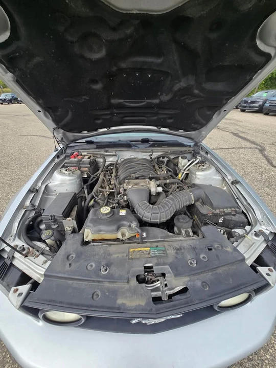 2009 Ford S197 Mustang - Image 7 of 7