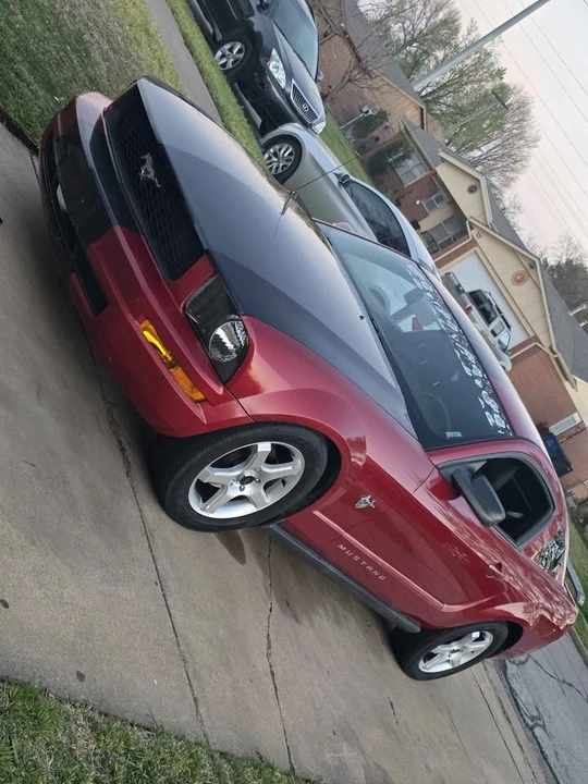 2009 Ford S197 Mustang - Image 8 of 8