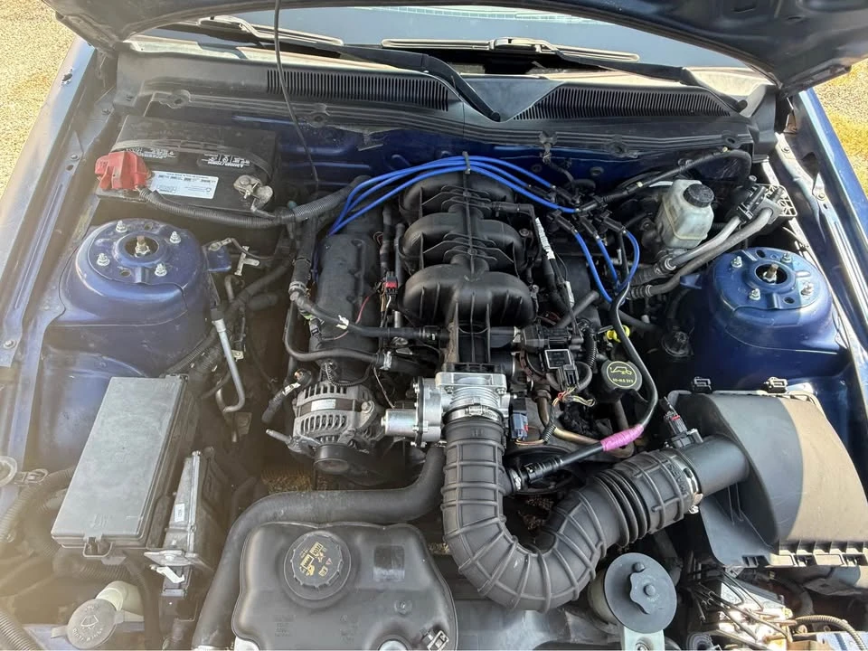 2009 Ford S197 Mustang - Image 9 of 11